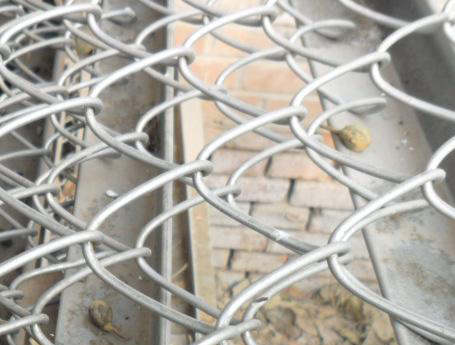 Stainless steel Chain Link Fence