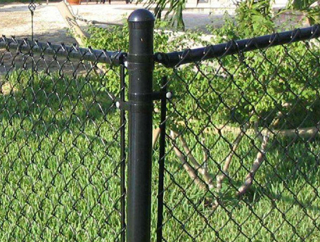 Greening Chain Link Fence