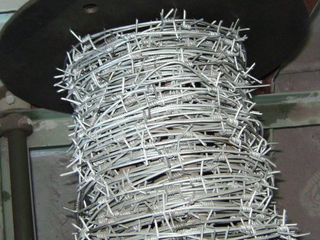 Single strand barbed wire