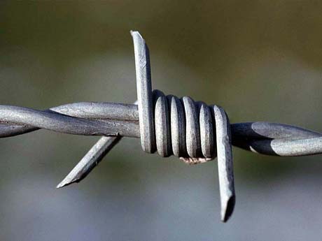 Double strand barbed wire