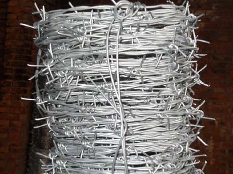 Double strand barbed wire