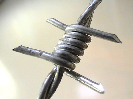 Double strand barbed wire